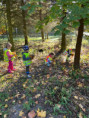 /album/housenky-z-listu/whatsapp-image-2026-10-07-at-19-20-40-7-jpeg/